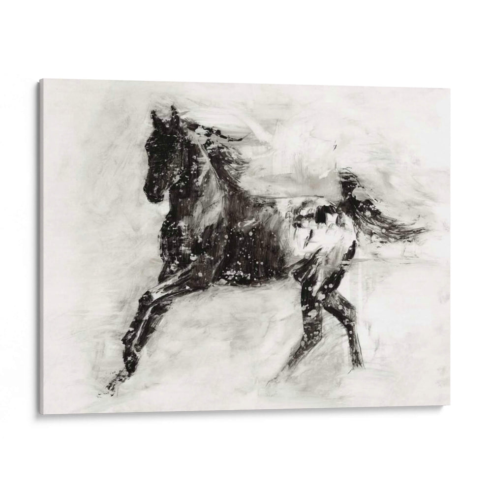 Appaloosa Rústica Ii - Ethan Harper | Cuadro decorativo de Canvas Lab