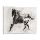 Appaloosa Rústica Ii - Ethan Harper | Cuadro decorativo de Canvas Lab