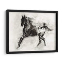 Appaloosa Rústica Ii - Ethan Harper | Cuadro decorativo de Canvas Lab