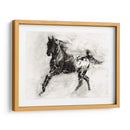 Appaloosa Rústica Ii - Ethan Harper | Cuadro decorativo de Canvas Lab