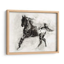Appaloosa Rústica Ii - Ethan Harper | Cuadro decorativo de Canvas Lab