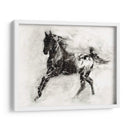 Appaloosa Rústica Ii - Ethan Harper | Cuadro decorativo de Canvas Lab