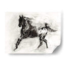 Appaloosa Rústica Ii - Ethan Harper | Cuadro decorativo de Canvas Lab