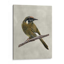 Belleza Alada Iii - Naomi McCavitt | Cuadro decorativo de Canvas Lab