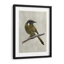 Belleza Alada Iii - Naomi McCavitt | Cuadro decorativo de Canvas Lab