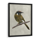 Belleza Alada Iii - Naomi McCavitt | Cuadro decorativo de Canvas Lab