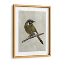 Belleza Alada Iii - Naomi McCavitt | Cuadro decorativo de Canvas Lab