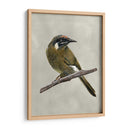 Belleza Alada Iii - Naomi McCavitt | Cuadro decorativo de Canvas Lab