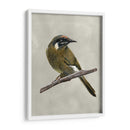 Belleza Alada Iii - Naomi McCavitt | Cuadro decorativo de Canvas Lab