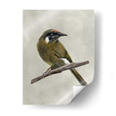 Belleza Alada Iii - Naomi McCavitt | Cuadro decorativo de Canvas Lab