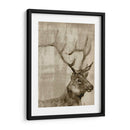 Sepia Alces - Jennifer Goldberger | Cuadro decorativo de Canvas Lab