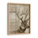Sepia Alces - Jennifer Goldberger | Cuadro decorativo de Canvas Lab