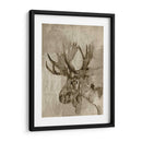Sepia Alce - Jennifer Goldberger | Cuadro decorativo de Canvas Lab