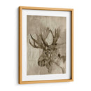 Sepia Alce - Jennifer Goldberger | Cuadro decorativo de Canvas Lab