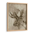 Sepia Alce - Jennifer Goldberger | Cuadro decorativo de Canvas Lab