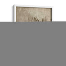 Sepia Alce - Jennifer Goldberger | Cuadro decorativo de Canvas Lab