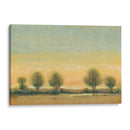 Mañana Sol Ii - Tim OToole | Cuadro decorativo de Canvas Lab