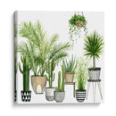 Plant Haven Ii - Grace Popp | Cuadro decorativo de Canvas Lab