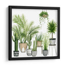 Plant Haven Ii - Grace Popp | Cuadro decorativo de Canvas Lab