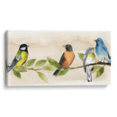 Castreop Reuniendo I - Grace Popp | Cuadro decorativo de Canvas Lab