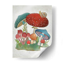 Colección De Hongos I - Chariklia Zarris | Cuadro decorativo de Canvas Lab