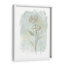 Estudio De Flores De Piedra Ii - June Erica Vess | Cuadro decorativo de Canvas Lab