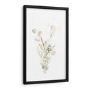 Botanica Whimsy Ii - June Erica Vess | Cuadro decorativo de Canvas Lab