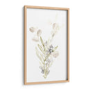 Botanica Whimsy Ii - June Erica Vess | Cuadro decorativo de Canvas Lab