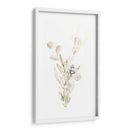 Botanica Whimsy Ii - June Erica Vess | Cuadro decorativo de Canvas Lab