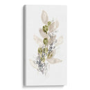 Botanica Whimsy Iii - June Erica Vess | Cuadro decorativo de Canvas Lab
