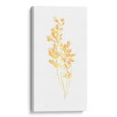 Ramo De Rubor I - June Erica Vess | Cuadro decorativo de Canvas Lab