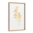 Ramo De Rubor I - June Erica Vess | Cuadro decorativo de Canvas Lab