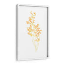 Ramo De Rubor I - June Erica Vess | Cuadro decorativo de Canvas Lab