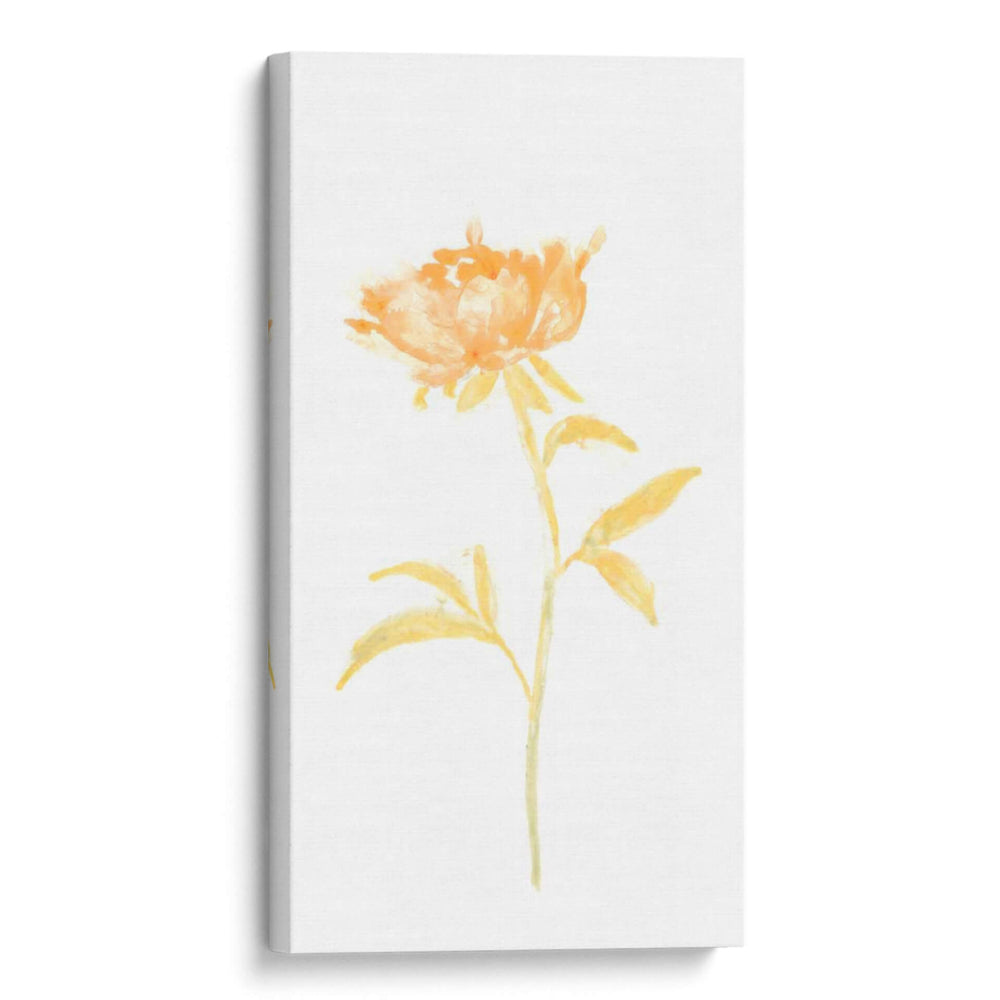Bouquet Blush Ii - June Erica Vess | Cuadro decorativo de Canvas Lab
