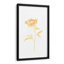 Bouquet Blush Ii - June Erica Vess | Cuadro decorativo de Canvas Lab