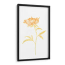 Bouquet Blush Ii - June Erica Vess | Cuadro decorativo de Canvas Lab