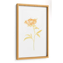 Bouquet Blush Ii - June Erica Vess | Cuadro decorativo de Canvas Lab