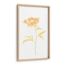 Bouquet Blush Ii - June Erica Vess | Cuadro decorativo de Canvas Lab