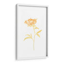 Bouquet Blush Ii - June Erica Vess | Cuadro decorativo de Canvas Lab