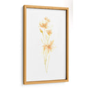 Bouquet Blush Iii - June Erica Vess | Cuadro decorativo de Canvas Lab