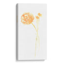 Bouquet Blush Iv - June Erica Vess | Cuadro decorativo de Canvas Lab