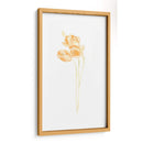 Bouquet Blush V - June Erica Vess | Cuadro decorativo de Canvas Lab