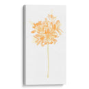 Bouquet Blush Vi - June Erica Vess | Cuadro decorativo de Canvas Lab