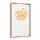 Bouquet Blush Vi - June Erica Vess | Cuadro decorativo de Canvas Lab