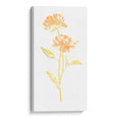 Bouquet Blush Vii - June Erica Vess | Cuadro decorativo de Canvas Lab