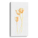 Bouquet Blush Viii - June Erica Vess | Cuadro decorativo de Canvas Lab