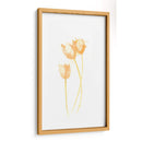 Bouquet Blush Viii - June Erica Vess | Cuadro decorativo de Canvas Lab