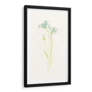 Estudio De Aciano I - June Erica Vess | Cuadro decorativo de Canvas Lab