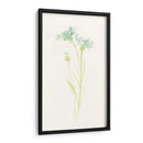 Estudio De Aciano I - June Erica Vess | Cuadro decorativo de Canvas Lab