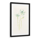 Estudio De Aciano Ii - June Erica Vess | Cuadro decorativo de Canvas Lab